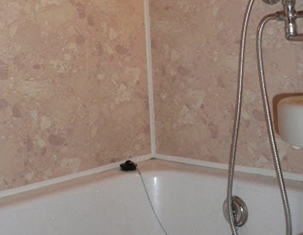 Плюсы и минусы панелей ПВХ в ванной комнате